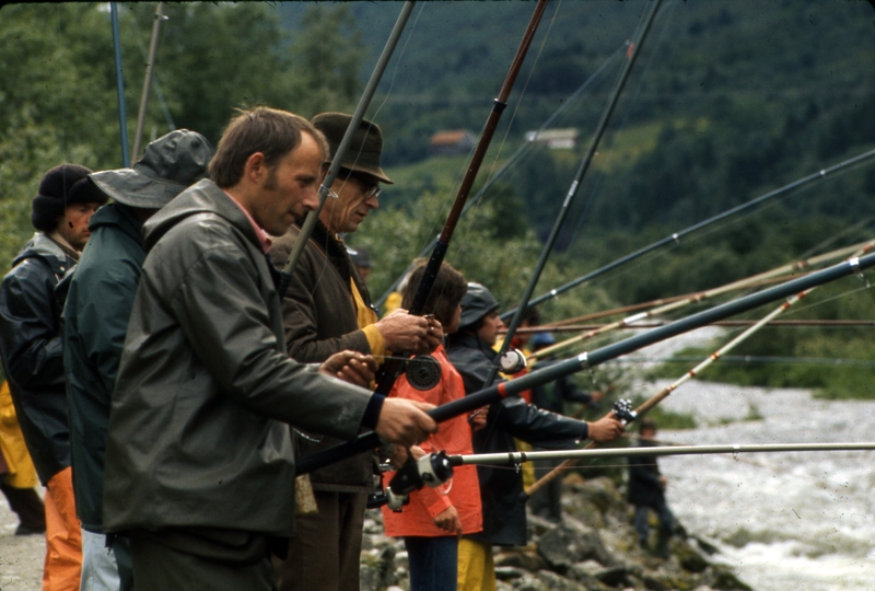 Lakseeventyret i Sunnmørs-elvene